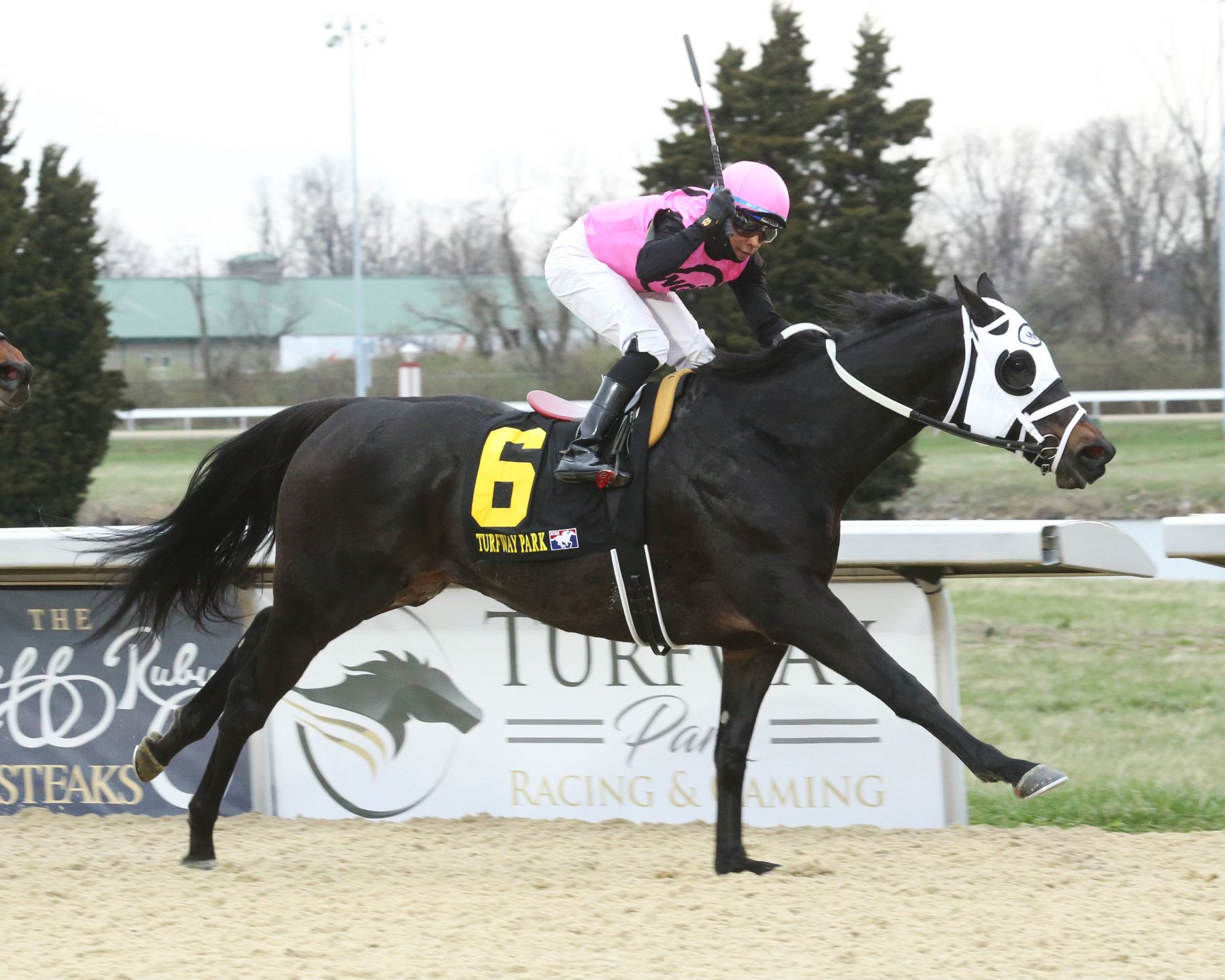 Turfway Park Racing & Gaming on Twitter "King Cause wins the Kentucky