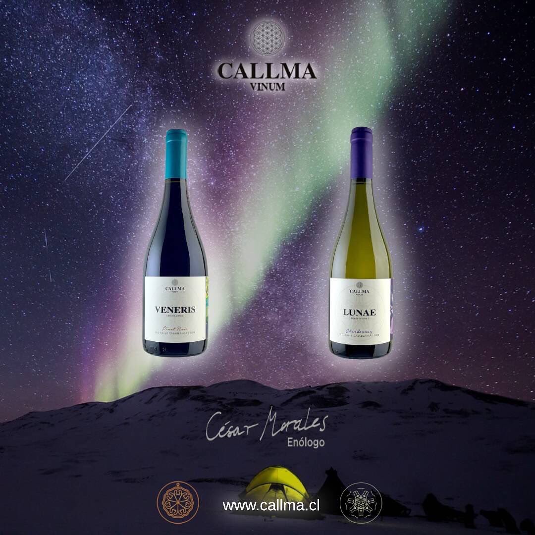 CallmaVinum's tweet photo. https://t.co/8VESDIfP7n #chileanwine #vinosconpersonalidad #viñaterosindependientes #vino #pequeñasproducciones #winelover #callmavinum #wineofchile #movichile_br #MOVILaTienda #lacavadelsommelier #bacovinobistro #movichile #restaurantedoncarlos #wine_promotion_ https://t.co/GxniyTp0Bv