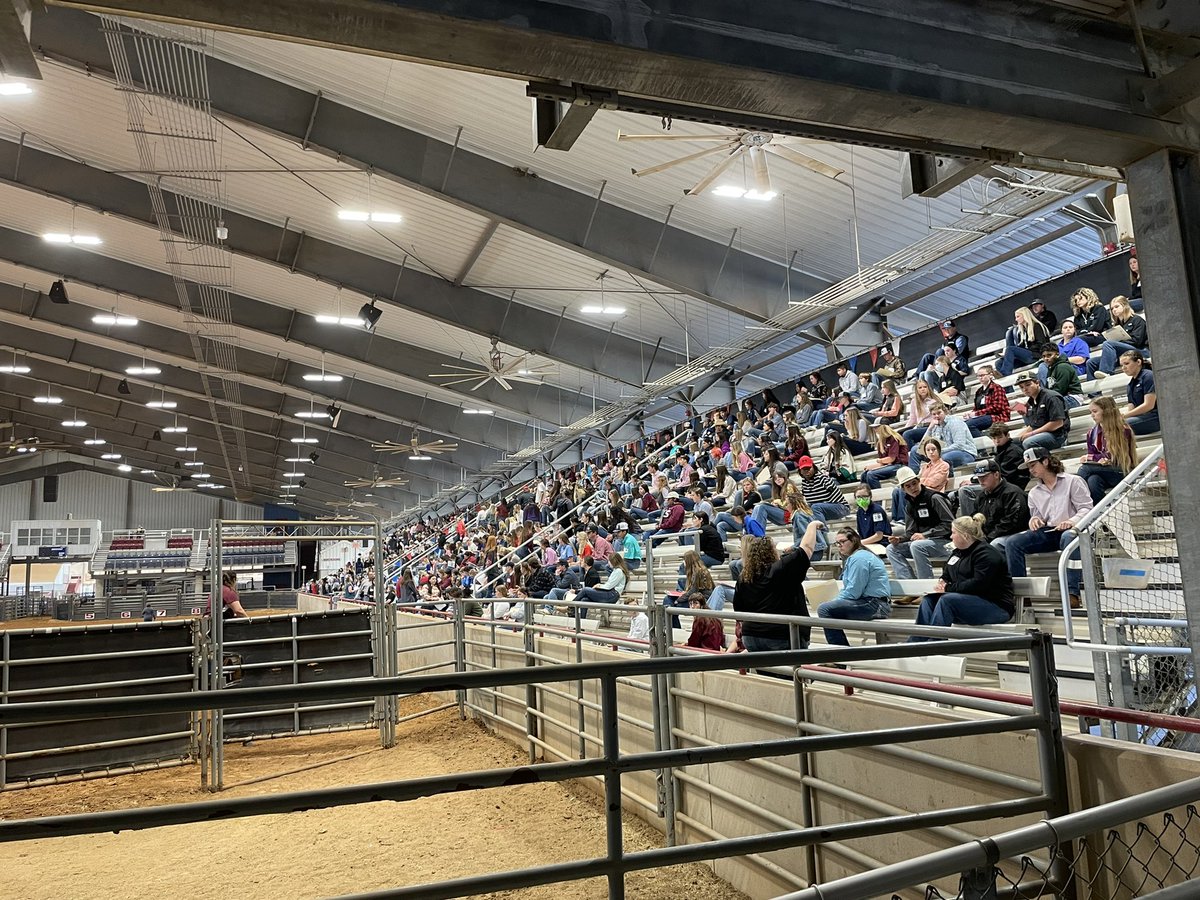 NimitzFFA's tweet photo. @NimitzHS_AISD at the @area3ffa Horse Judging contest today at @TAMU 🐴📋 great job all contest season! #IgniteFFA #AldineForward @AldineISD @AldineCTE https://t.co/q8VEhUn3Xl