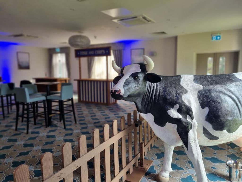 SJEnterprises1's tweet photo. Planning an event? We have everything from food stalls to dancefloor hire, DJs to life size cows 🐄 https://t.co/CTGFqOlHdx https://t.co/tWpEhIq5kh