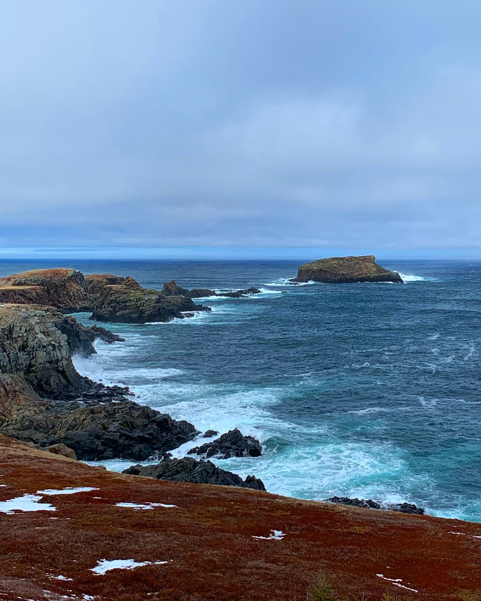 Well, possibly next month, the land on the left (not the island), could be filled with returning Atlantic Puffins!! I took this photo earlier today while out for an afternoon drive. Love the coastline views. Elliston, NL