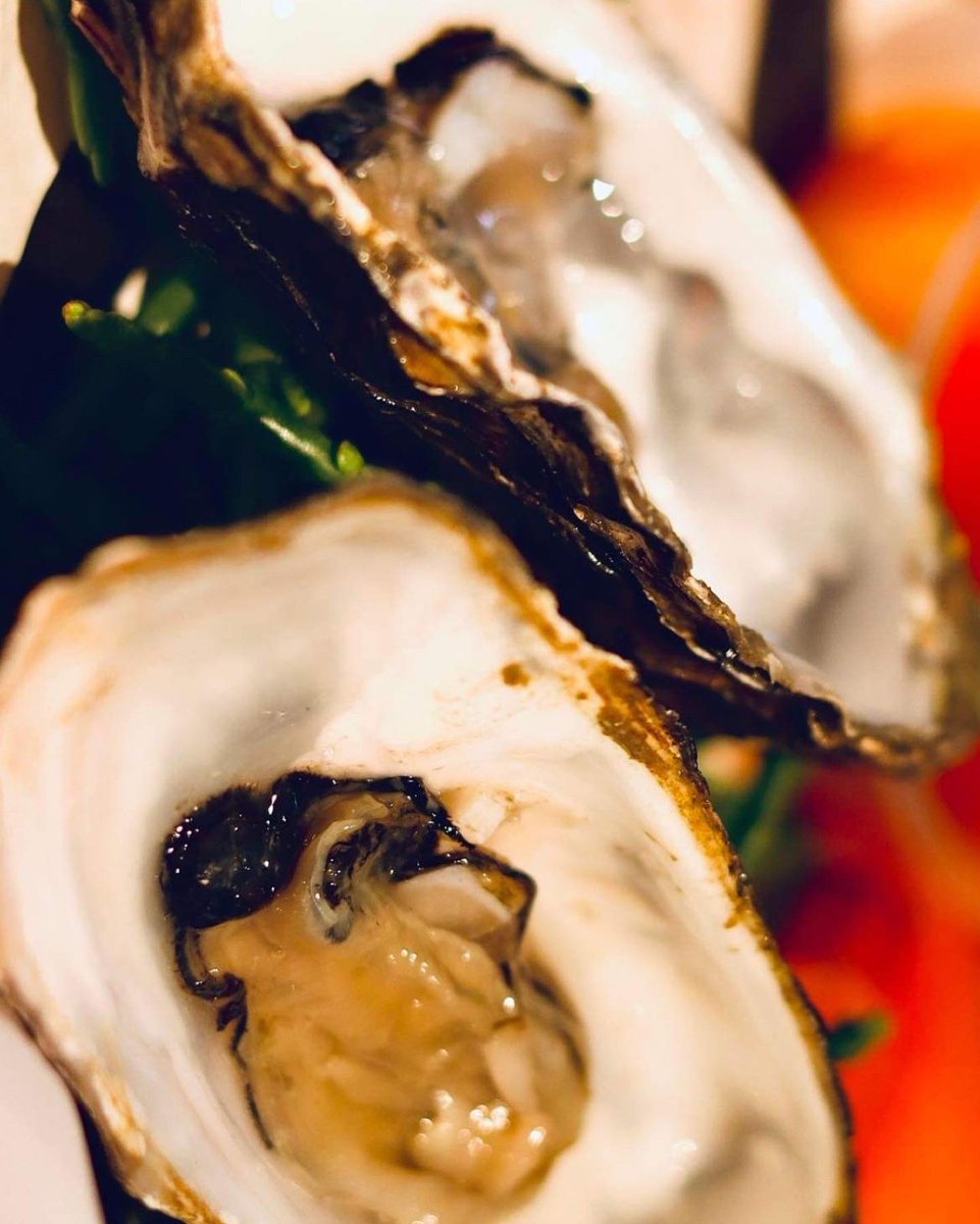 NorthernSoleFK's tweet photo. #shucks what a 1st day! Thank you to everyone who came to try us out, we were blown away by the #brill feedback &amp; have to say a big thank you to our chefs for their great work.
We are back tomorrow at 11am so pop &amp; get your #seafood fix @HoHFoodHall 
#northernsole #fishkitchen https://t.co/0ZzWOjTRCY