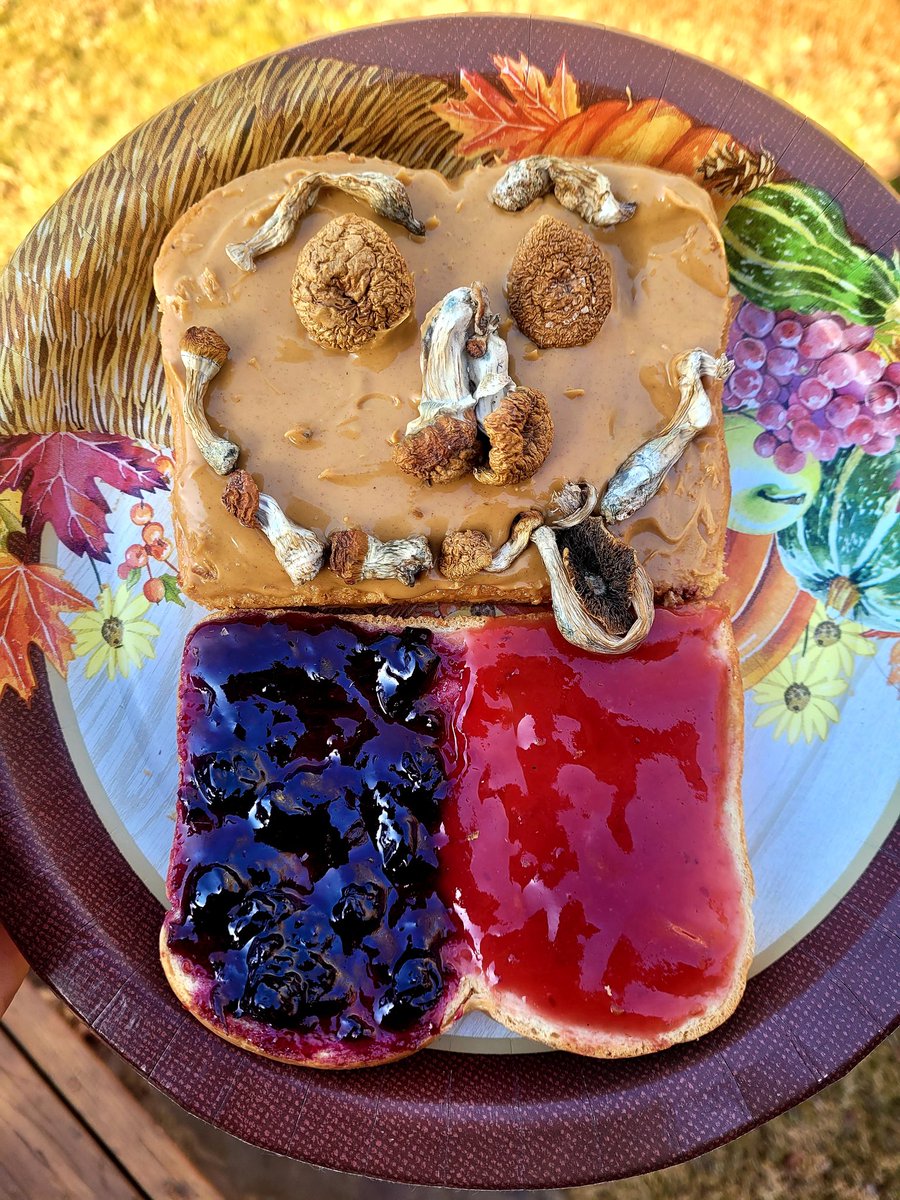 HIGH_TIMES_Mag's tweet photo. Happy National Peanut Butter and Jelly Day! 😋🍄🥪 https://t.co/jjiAEh8NOR