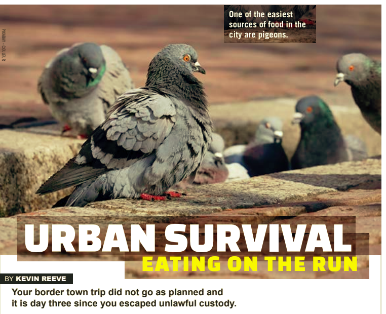 Kevin_Reeve's tweet photo. Read onPoint Tactical's new article on #UrbanForaging.
https://t.co/GhzhmPLaSk

Check out onPoint Tactical's classes in #UrbanEscape&amp;Evasion #UrbanE&amp;E #UrbanScout #UrbanSurvival #ScoutSurvival #ScoutTracking #Survival #ScoutRecon #ScoutFieldcraft. &amp; more....  #military #LawEnfor https://t.co/NuIt6kx0ju