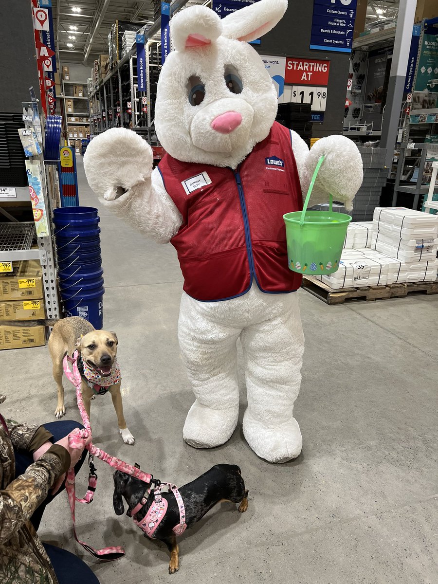SomeBUNNY came to #lowesof1880 today!! Leads, pets and fun!!! Let’s HOP to it and win with leads!!! @EamonnG84 #bunnyboy