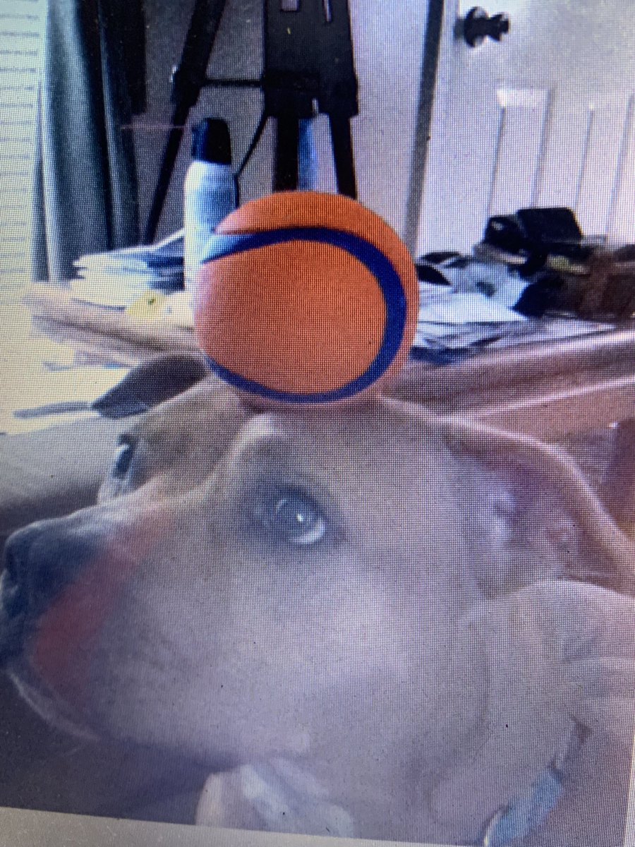 Going thru old photos my late husband used to torture our old dog with this trick lol