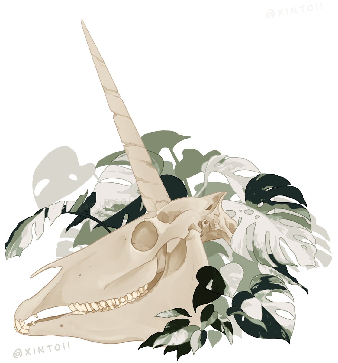 「Unicorn skull and my favorite plant, mon」|xintoiiのイラスト