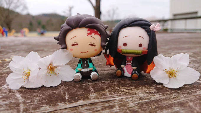 🎴と一緒に🌸みてきました✨ 