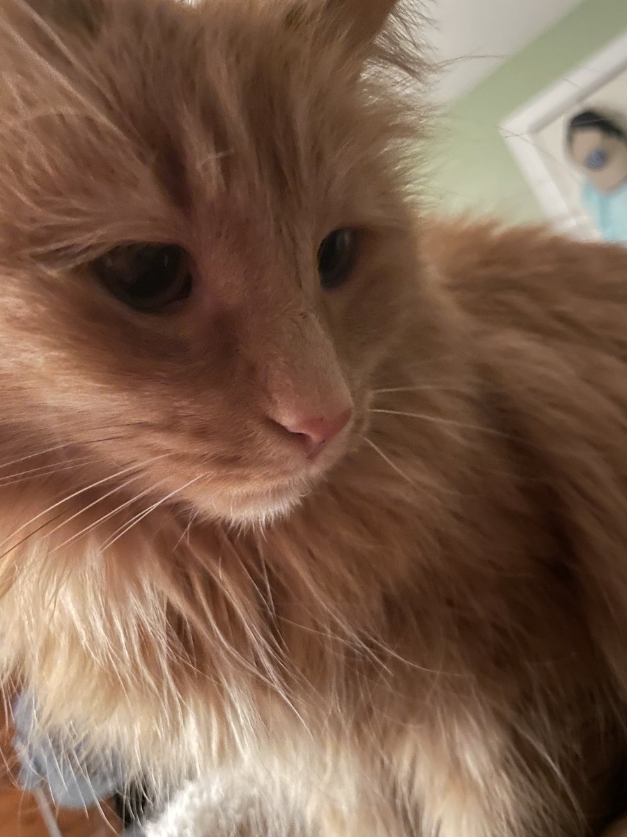 Someone wants attention.