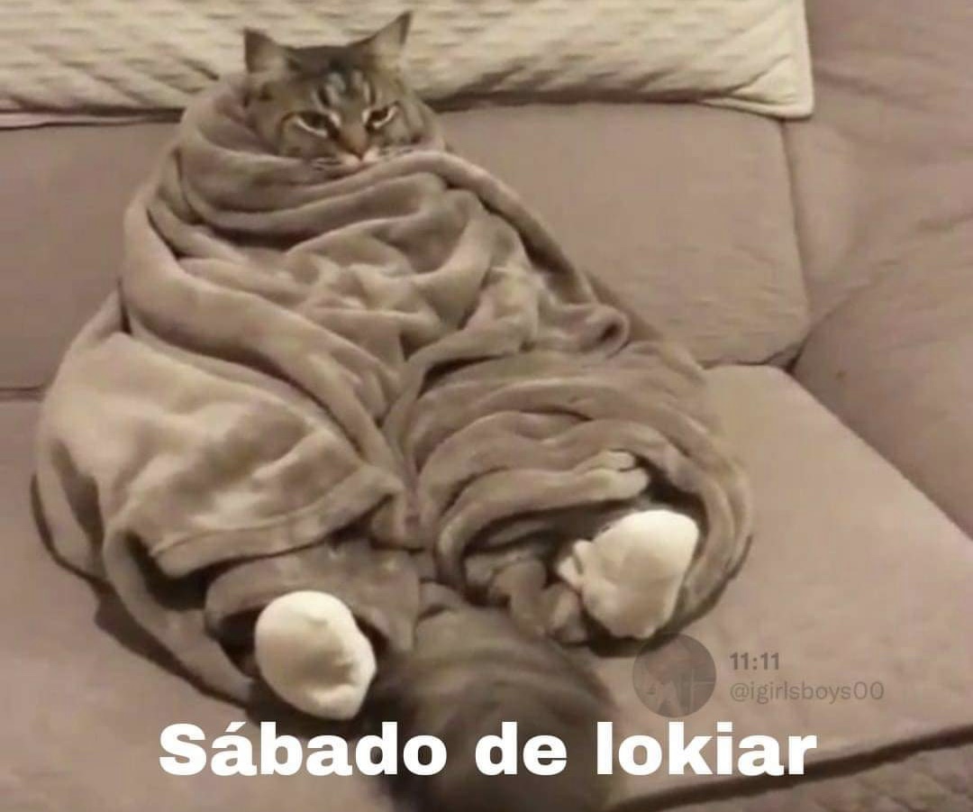 El Guarromántico (@guarromantico_) on Twitter photo 