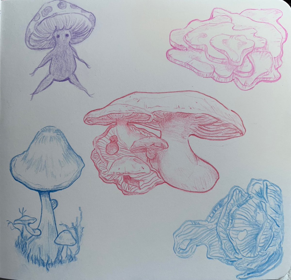 got some shrooms yall want anything??