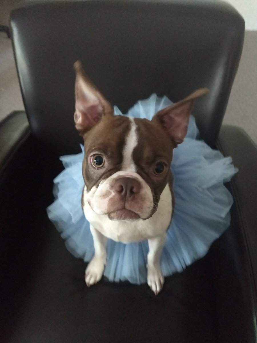 Colleen_Brown7's tweet photo. #GDTBATH https://t.co/05YzlC03Zr