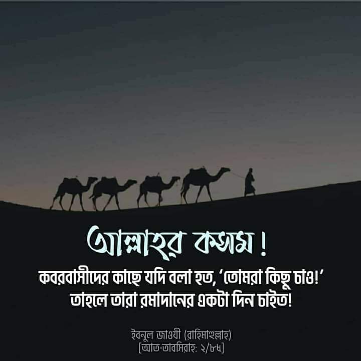 alorpotheami's tweet photo. https://t.co/PcdcImPOT1