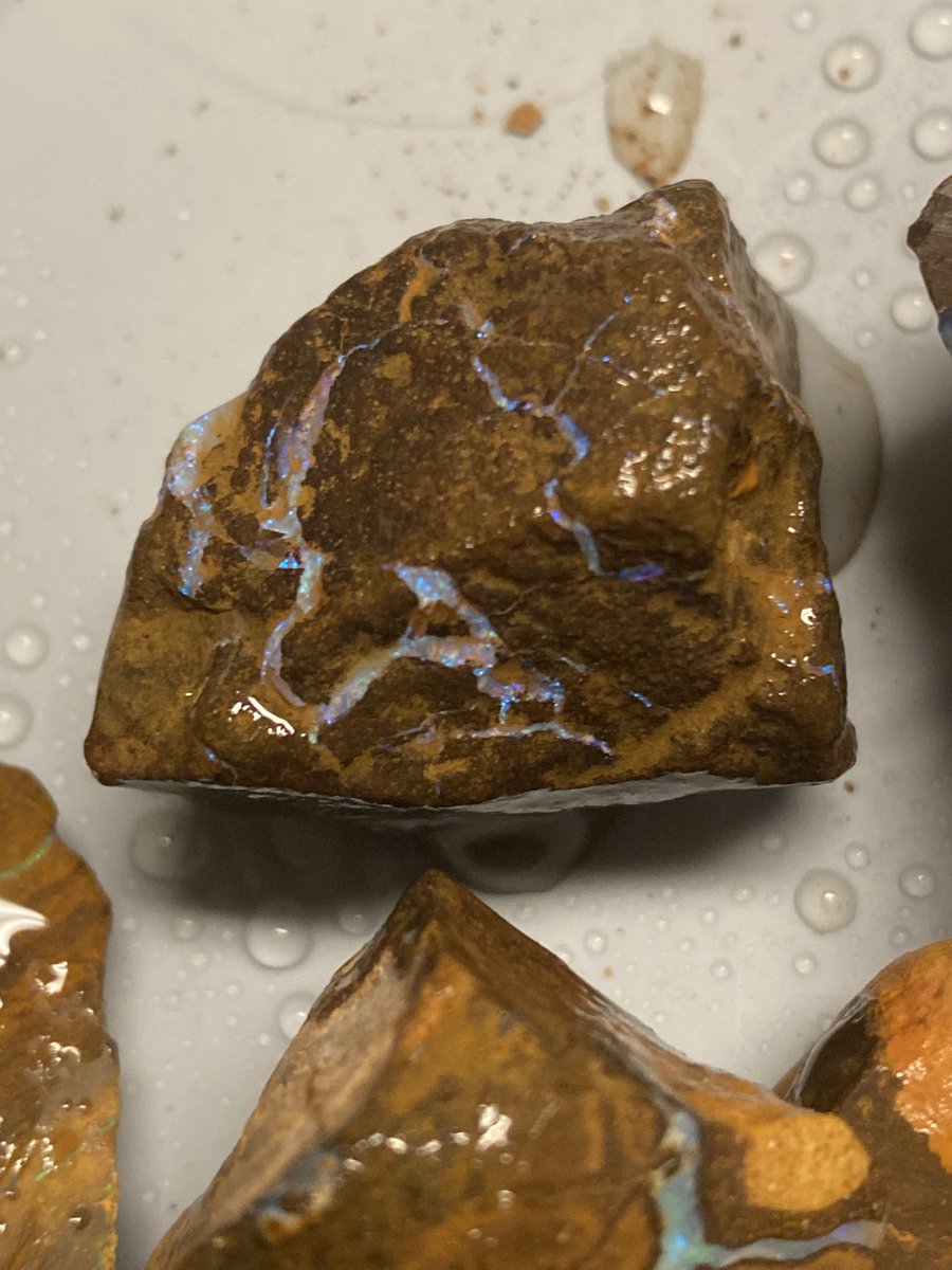 HDTHunters's tweet photo. Look at this Boulder opal. Not the highest grade but going to be fun to polish. #opal #Opal #opalstone #mineral #rockhounds #rockhounding #rockhound https://t.co/SVcINIPF6A