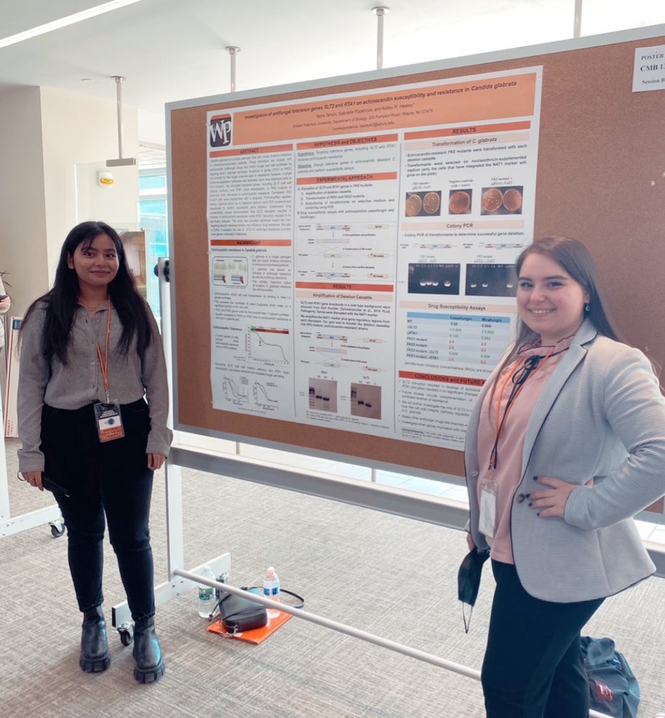 Healey Lab (@healeylab_wpu) on Twitter photo Poster presentations (and awards👏) for my undergraduate researchers Gabby and <a href="/tahsin1_saira/">Saira Tahsin</a> at today’s (in-person!) Research Symposium hosted by <a href="/wpunj_edu/">William Paterson University</a>. Their work is on #Candida auris triazole resistance and C. glabrata echinocandin tolerance. 🔬🧫🧬 Poster presentations (and awards👏) for my undergraduate researchers Gabby and <a href="/tahsin1_saira/">Saira Tahsin</a> at today’s (in-person!) Research Symposium hosted by <a href="/wpunj_edu/">William Paterson University</a>. Their work is on #Candida auris triazole resistance and C. glabrata echinocandin tolerance. 🔬🧫🧬
