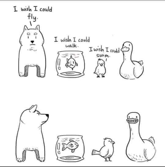 Ducks are superior. Just sayin.