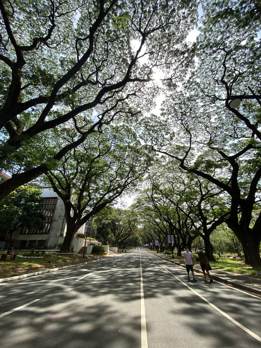 sunday walk, irl version of turning off and turning on the brain