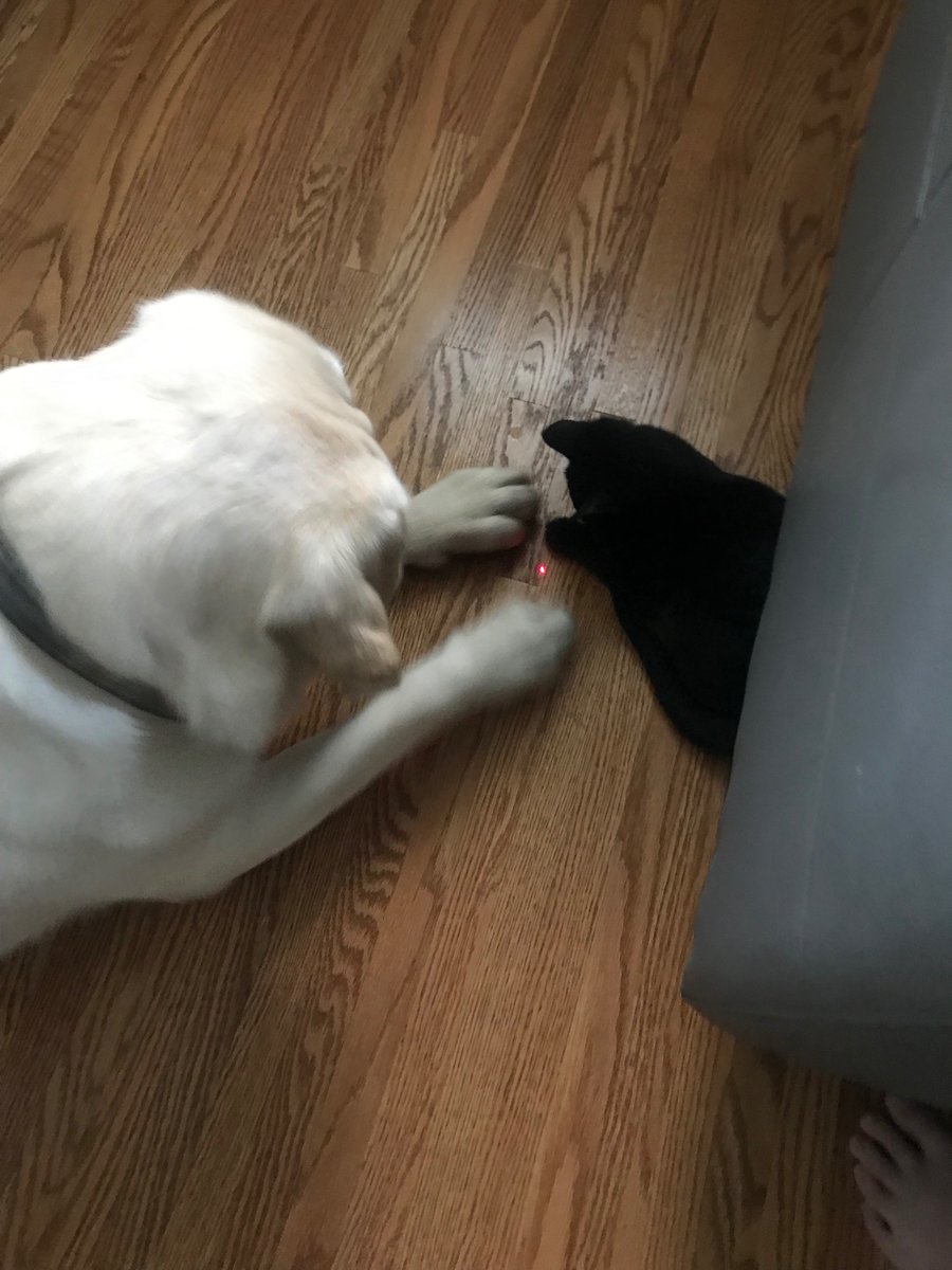 FordandFrida's tweet photo. We have joined forces to get the red bug. Updates to come #FordandFrida https://t.co/7KvXq8rZP3