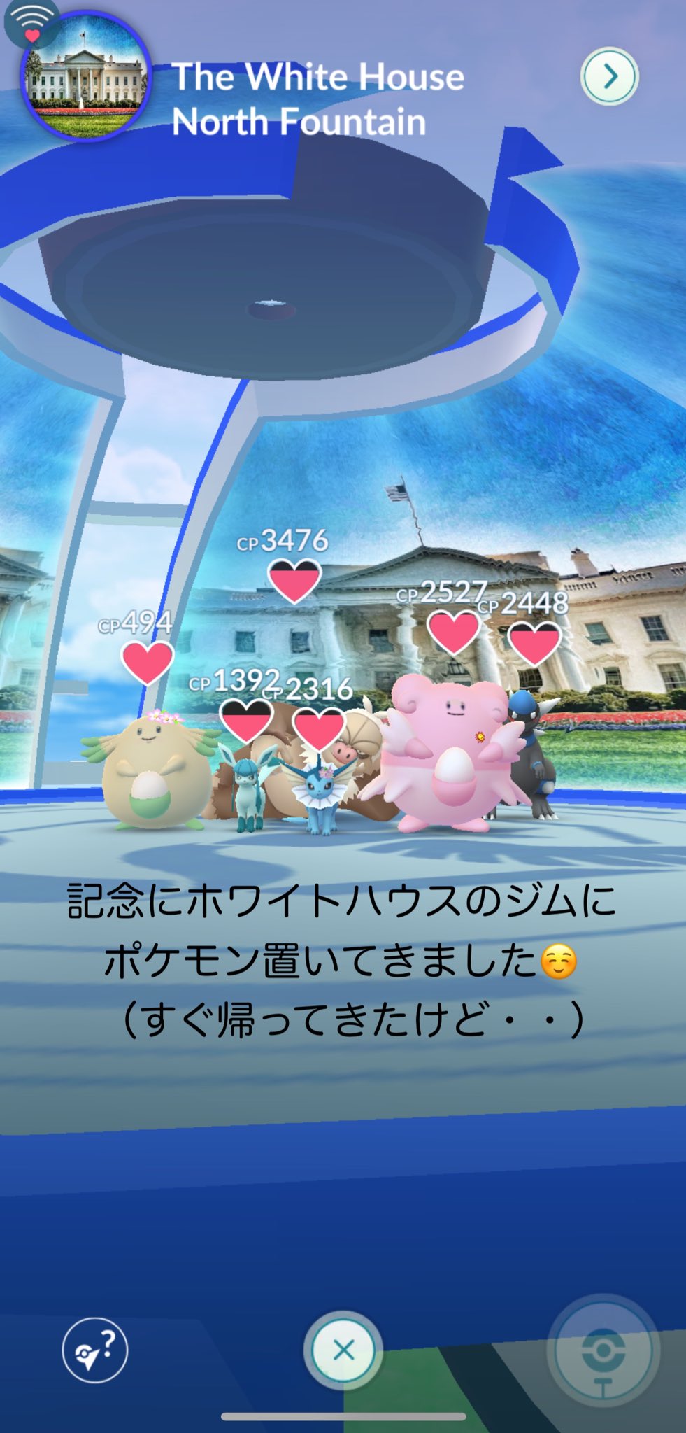 Ditto ポケモンgo Dc460 Twitter