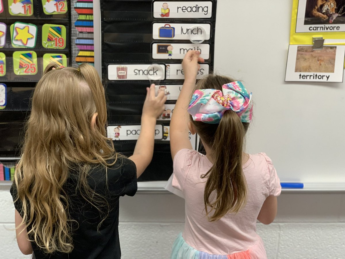 Apache Elementary tweet media