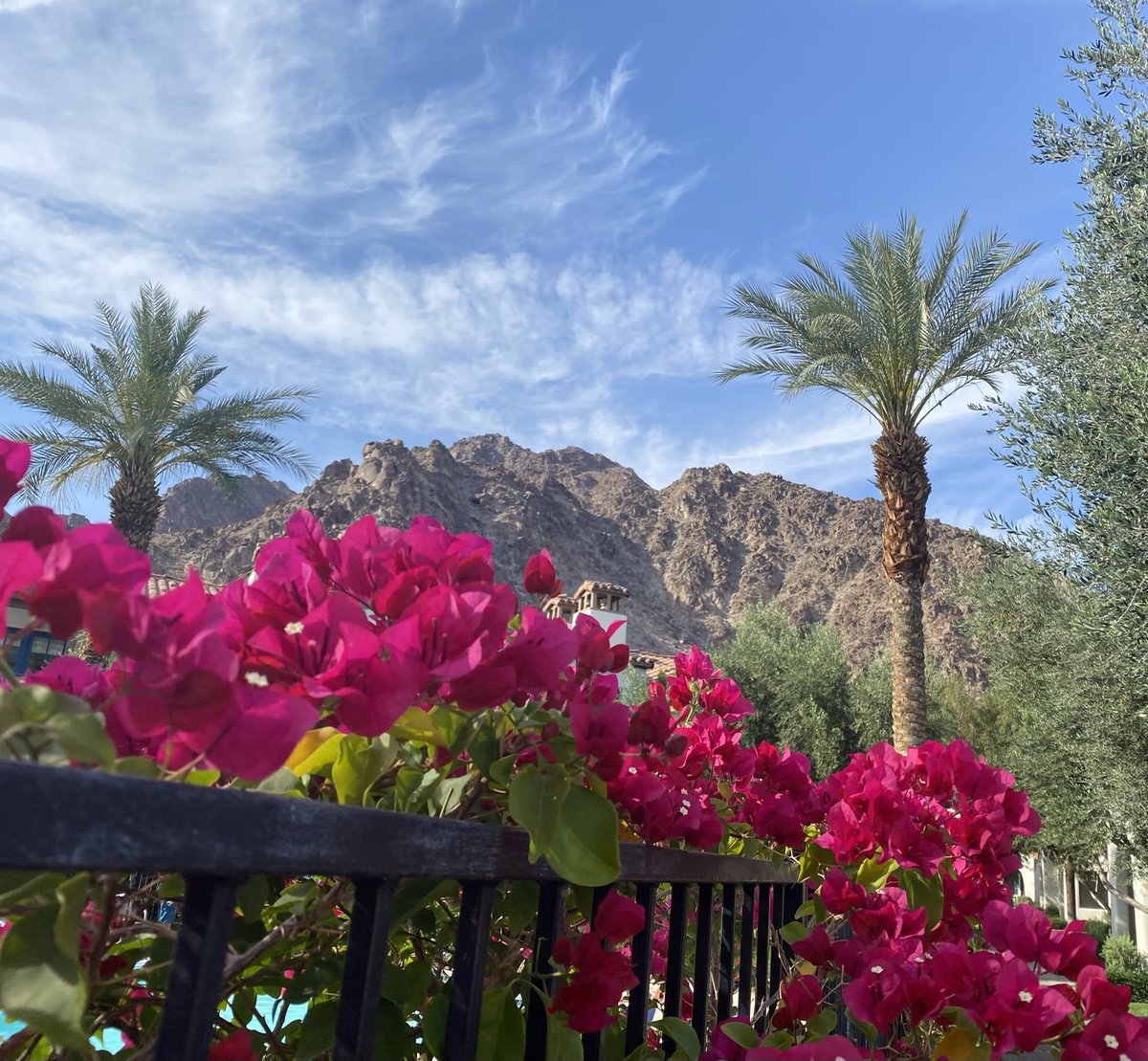 America the beautiful…