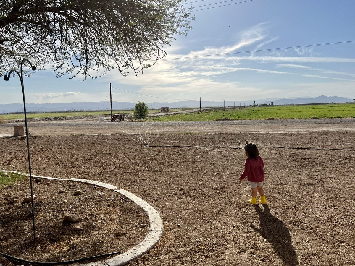 Sharing this as my “before” photo. Just laid some grass seed :) stay tuned. Things grow pretty fast in the desert.