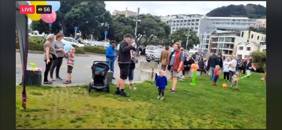 Rngwelly's tweet photo. Very low numbers so far at today’s conspiracy cult unite protest at Waitangi park. I think there’s a “march”planned for sometime soon, but not sure where. Police are there and apparently have been searching a van for about half an hour. #unitenz #Clownvoynz #Convoy2022NZ https://t.co/AoDmKoXqq6