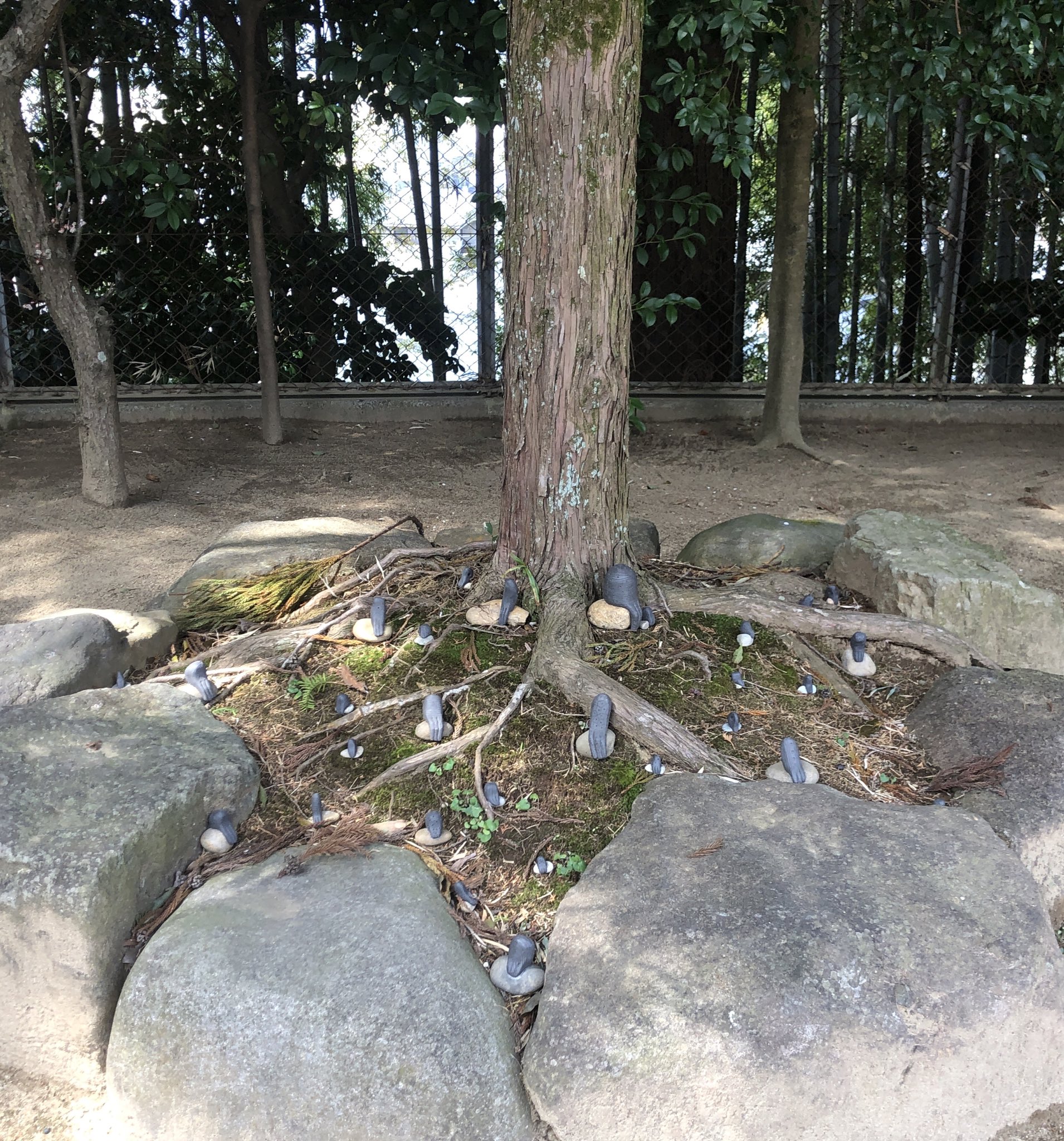 浅野暢晴 芸術工 誰もいなかった木の根元が 異形たちの人気スポットに T Co 12huaicwkg Twitter