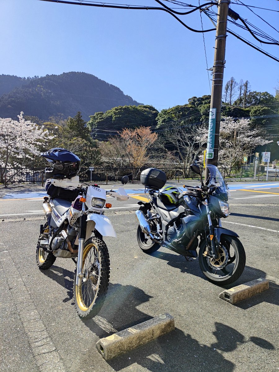 ssr_749s's tweet photo. さあ、どこ行こ😀

#symT2
#serow https://t.co/2UEFeu3mhJ