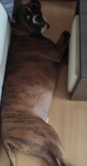 BSC CASH CUP #1

The manager of the team send me « Jaaja » 🦁

Winner is Skaaysa Sons 🏆

<a href="/Ale_Recre9/">Ale Larios </a>
@xOliivares
<a href="/Campi_ct96/">Campi_ct96</a>
<a href="/DennisOffen/">Dennis Offen ™</a>
@xousmane_dembe
<a href="/Bernii000/">Berni</a>
<a href="/crischf11/">Cris ♠️🇮🇨</a> 
<a href="/owenr0driguez__/">👽</a> 
<a href="/D10S_Tass10/">Tass ❆</a>
<a href="/JaairoJimeenez/">Wemby👽</a>
<a href="/Skaaysa/">Skaaysa</a> 

GG for the victory 🔥🏆