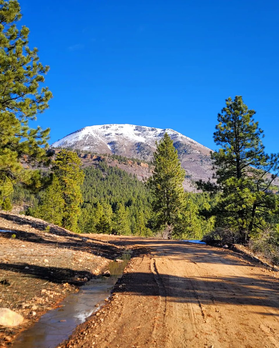 The Average Joe Runner tweet media