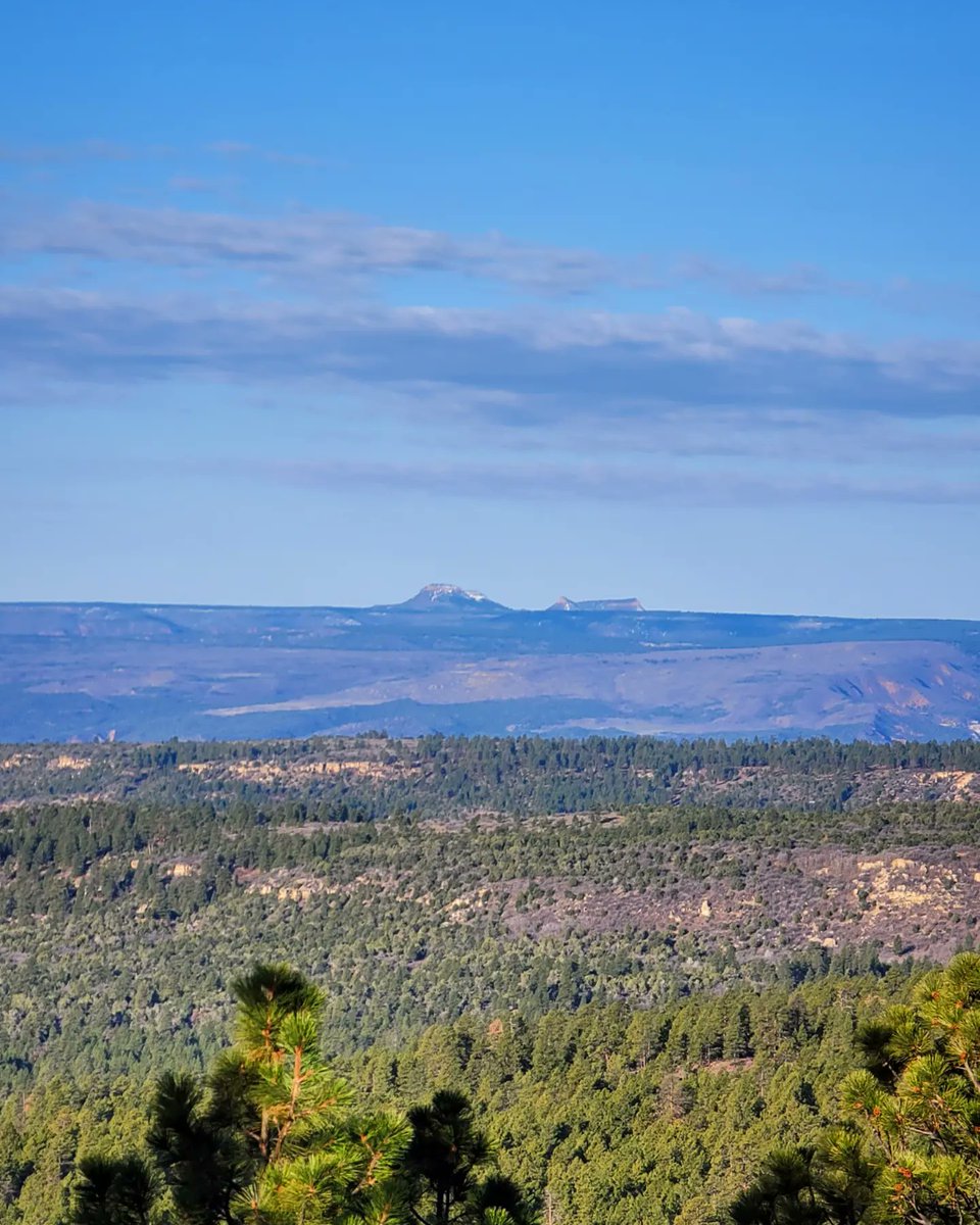 The Average Joe Runner tweet media