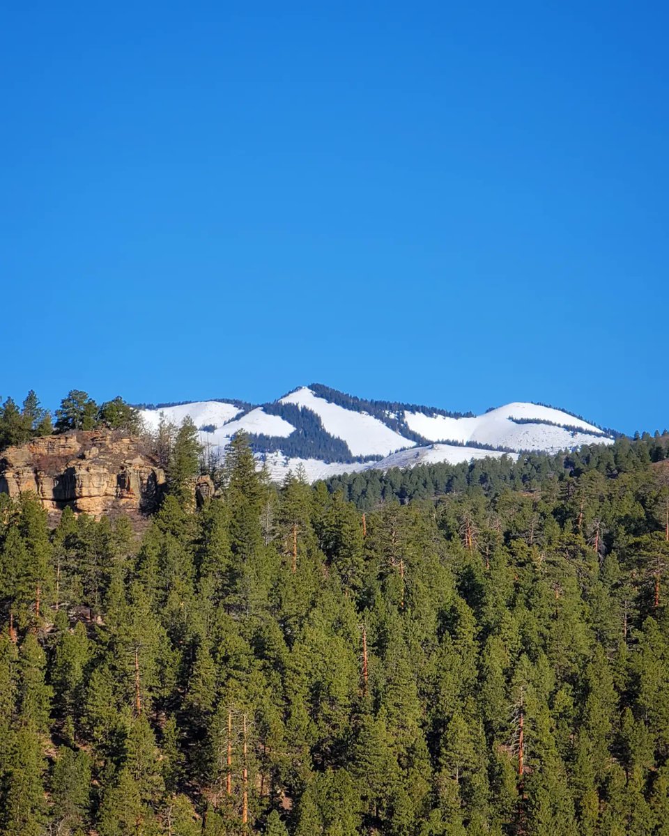 The Average Joe Runner tweet media