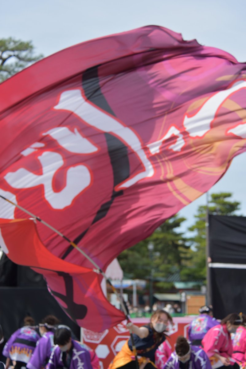 yosa_pic's tweet photo. 京都さくらよさこい
京炎そでふれ！おどりっつ さん

よさこい演舞フォト📷

ご希望であれば、Googleフォトで
送らせて頂きます。

#さくらよさこい
#さくよさ
#京炎そでふれおどりっつ
#おどりっつ
#よさこい
#ご本人様にとどけ https://t.co/MbI7JP990b