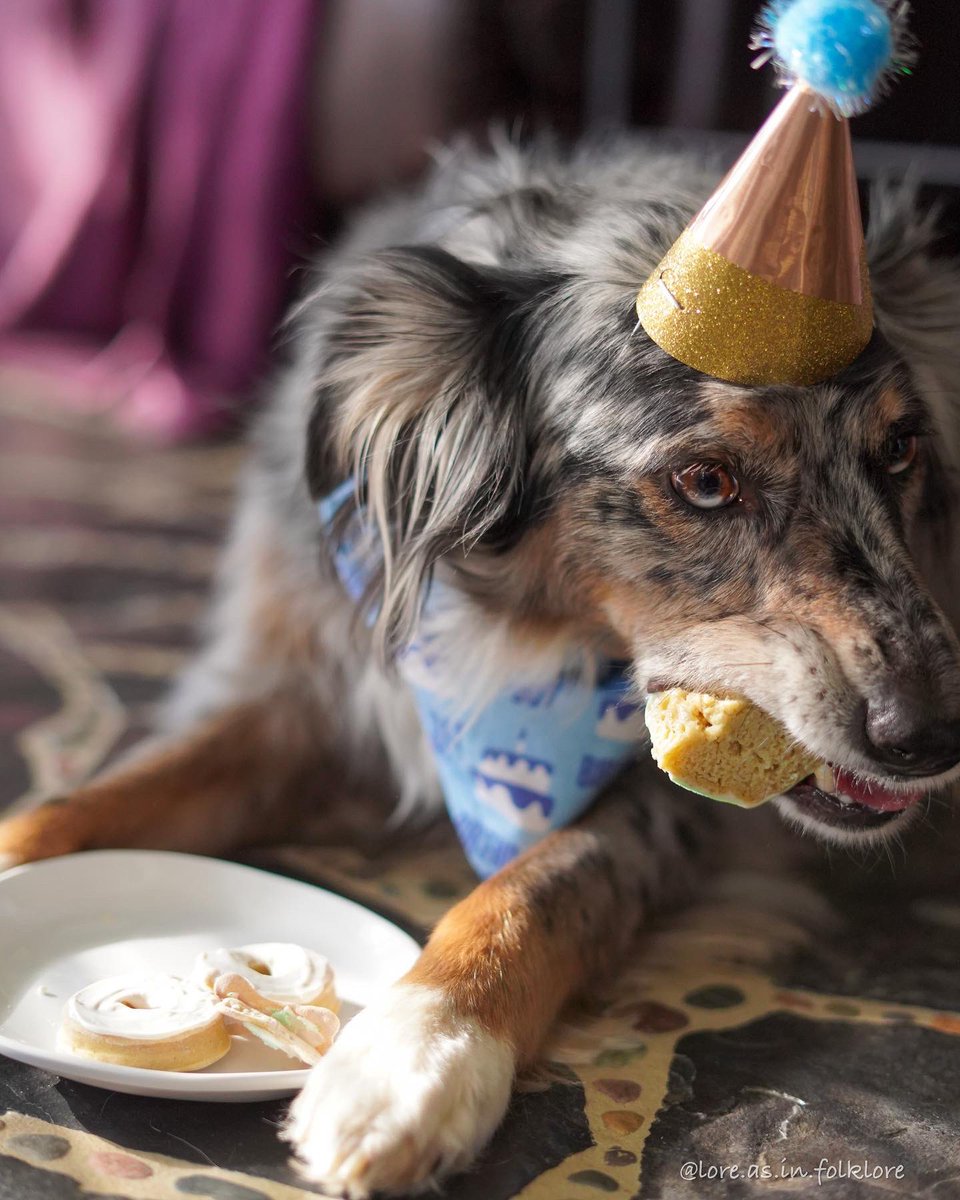 Lore | Chester | Juniper | Xavin tweet media