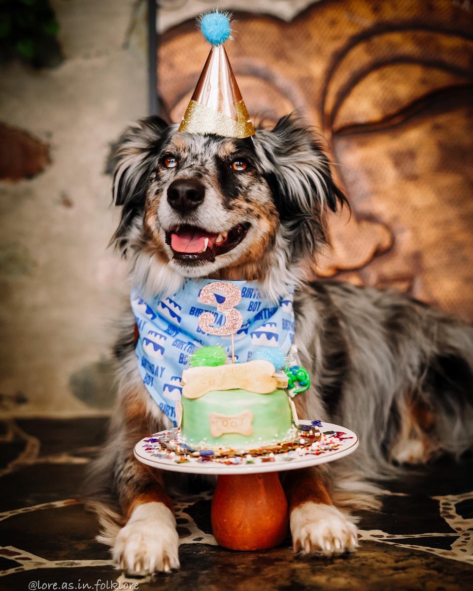 Lore | Chester | Juniper | Xavin tweet media