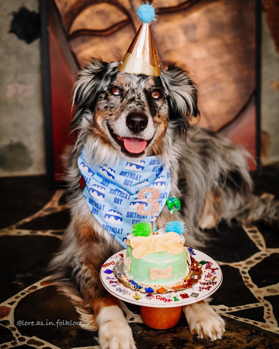 Lore | Chester | Juniper | Xavin tweet media