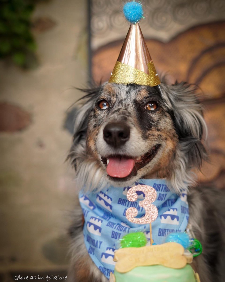 Lore | Chester | Juniper | Xavin tweet media