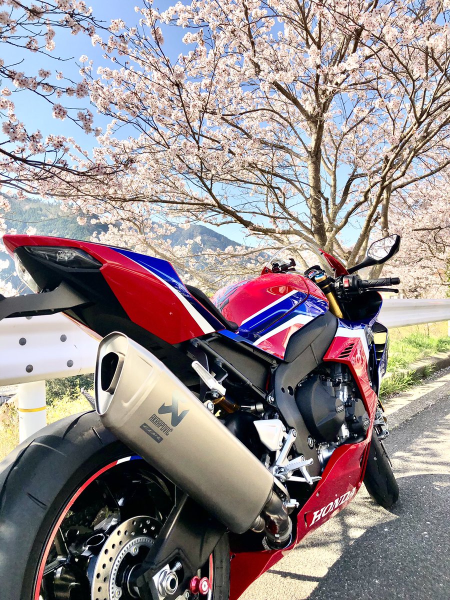 for_iphone0921's tweet photo. 桜とツーショット🌸 https://t.co/qQs5VewiPF