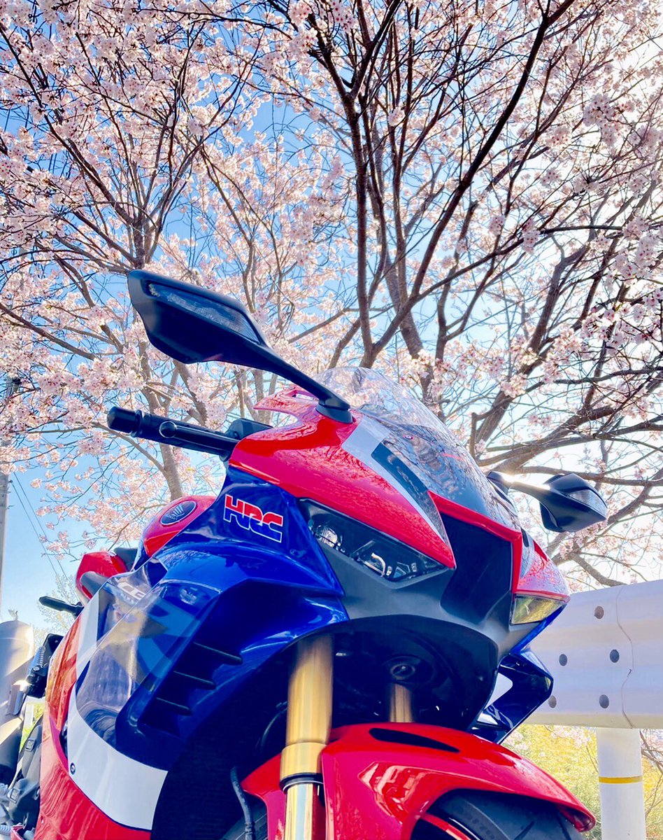 for_iphone0921's tweet photo. 桜とツーショット🌸 https://t.co/qQs5VewiPF