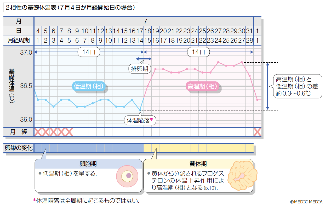 体温の基礎と臨床 病気がみえる on X: 