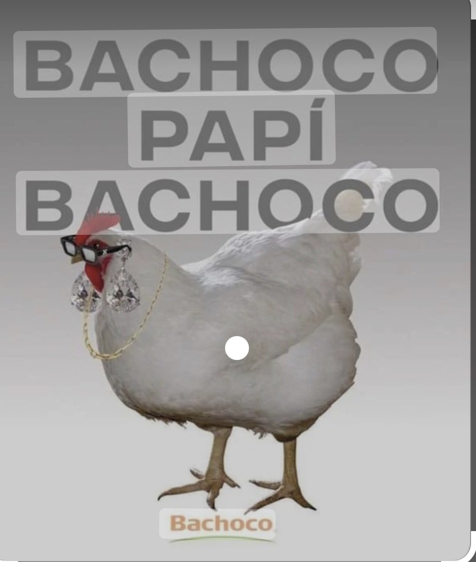 isrits's tweet photo. ¿Chicken qué dices? https://t.co/wgrsJANPKy