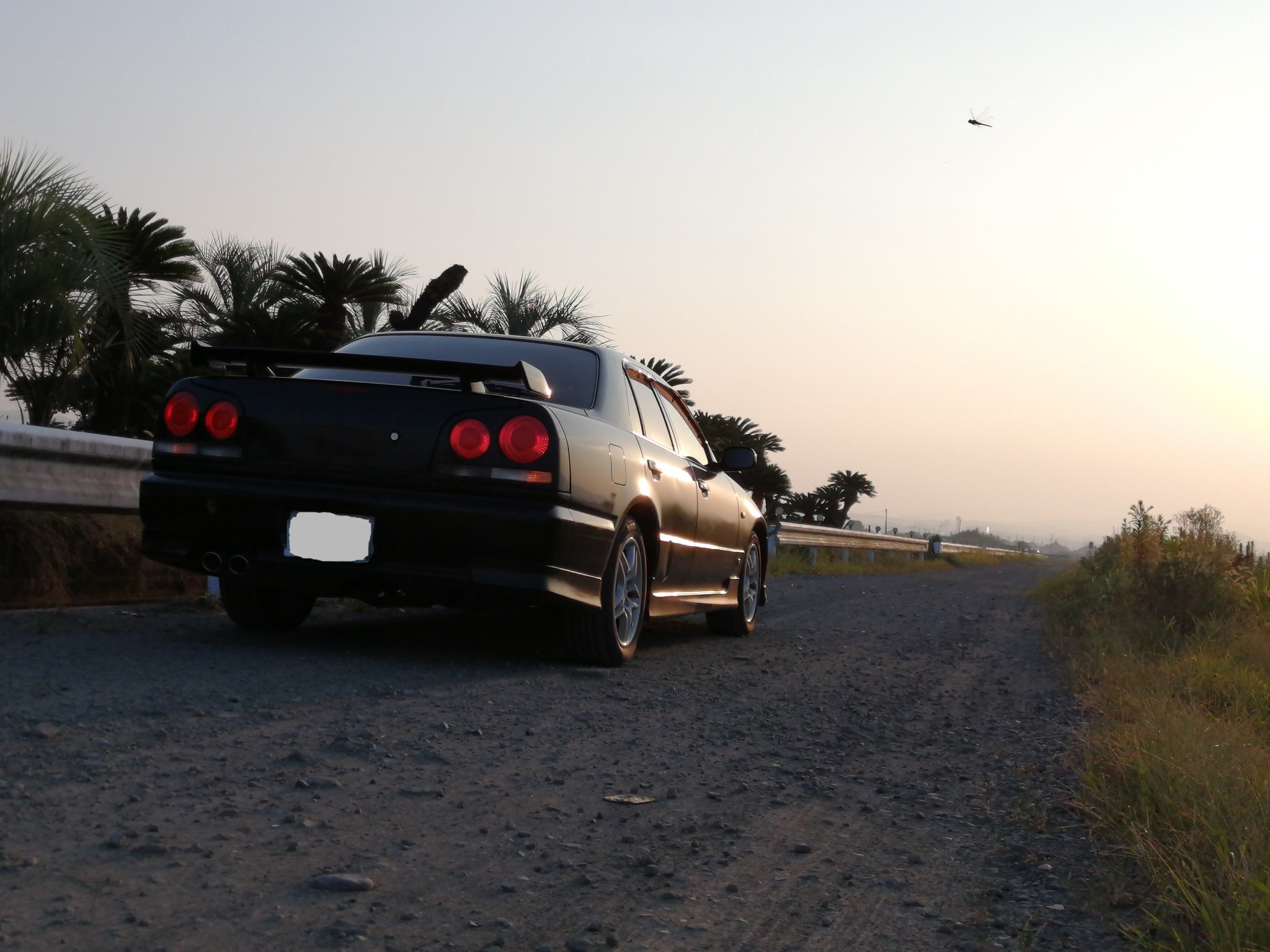 とどのつまりトド (@H8bwNWOamJM8TXg) / X