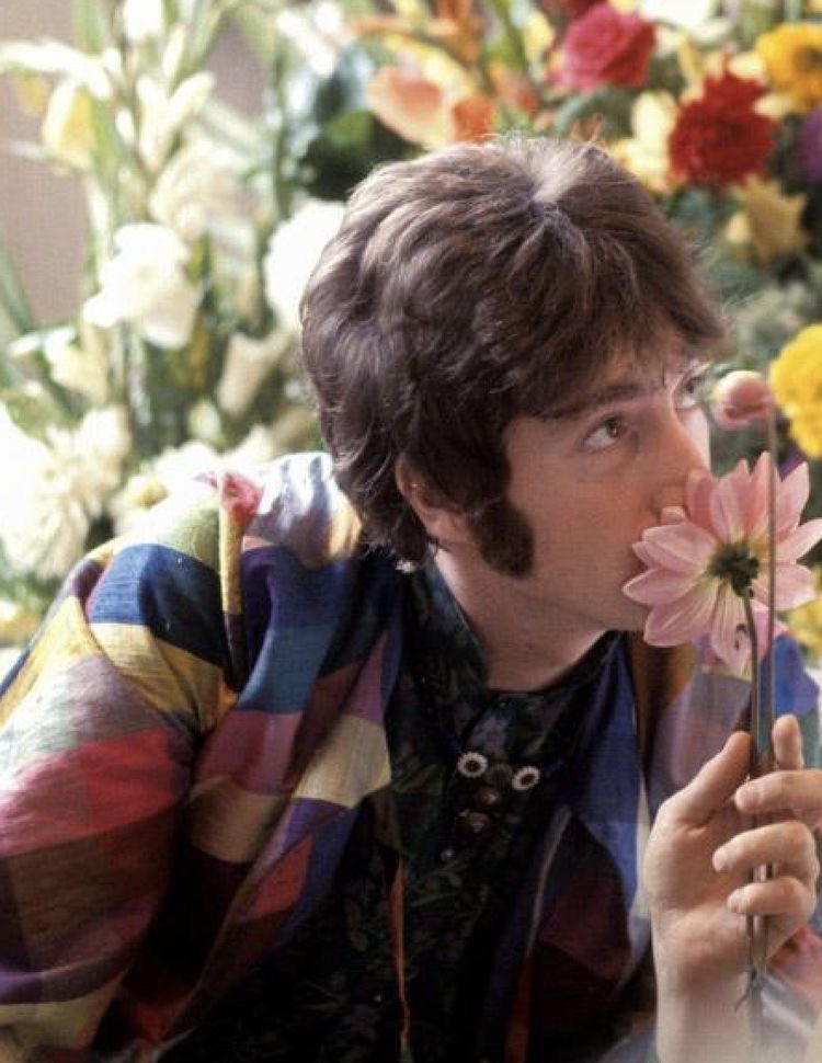 this image above everything else.