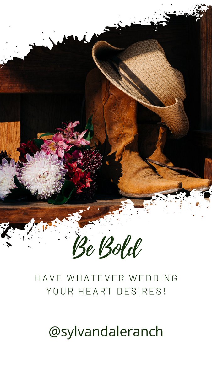 SylvanDale's tweet photo. Wedding season is in full swing here @SylvanDale https://t.co/CxBX3uwDyr