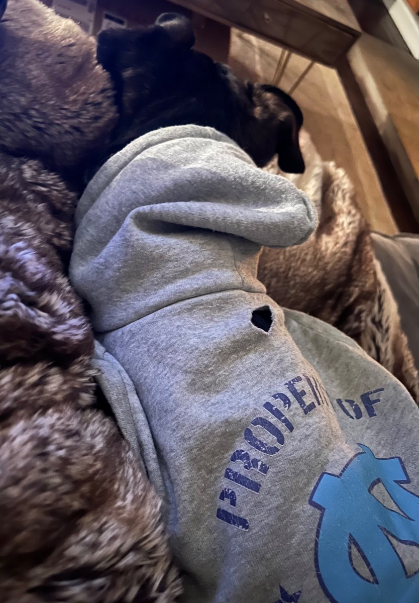 Wishing I was as calm as this guy… #goheels