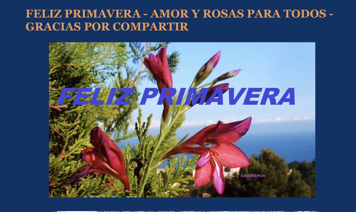 LadyHagua2's tweet photo. @sd_rubin O sea que el #patriarcaruso pasa #RusiaUcrania olímpicamente de la #guerra?
#Difícil de entender!
#O #sea que a #Dios #rogando y con la #espada #dando?
#Esto me #recuerda a la #inquisición!
#vivirparaver
#Leerparasaber
#culturadura
#UcraniaLibre
🙏🌸🌿🇺🇦🕊🇺🇦🕊🇺🇦🌿🌸🙏 https://t.co/r50u2yBz9z