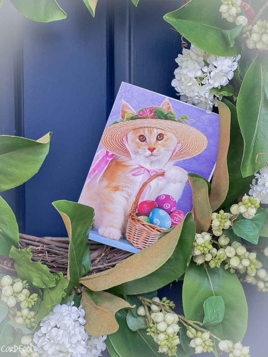 CardFool's tweet image. Who doesn’t love a good, old fashioned #HoppyEaster glamour shot?? 

bit.ly/3iDTTQT