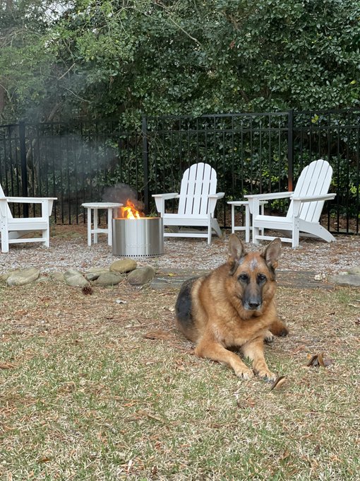 He is loving his yard. Also that&rsquo;s paint all over his face https://t.co/fLbjGMXW5g