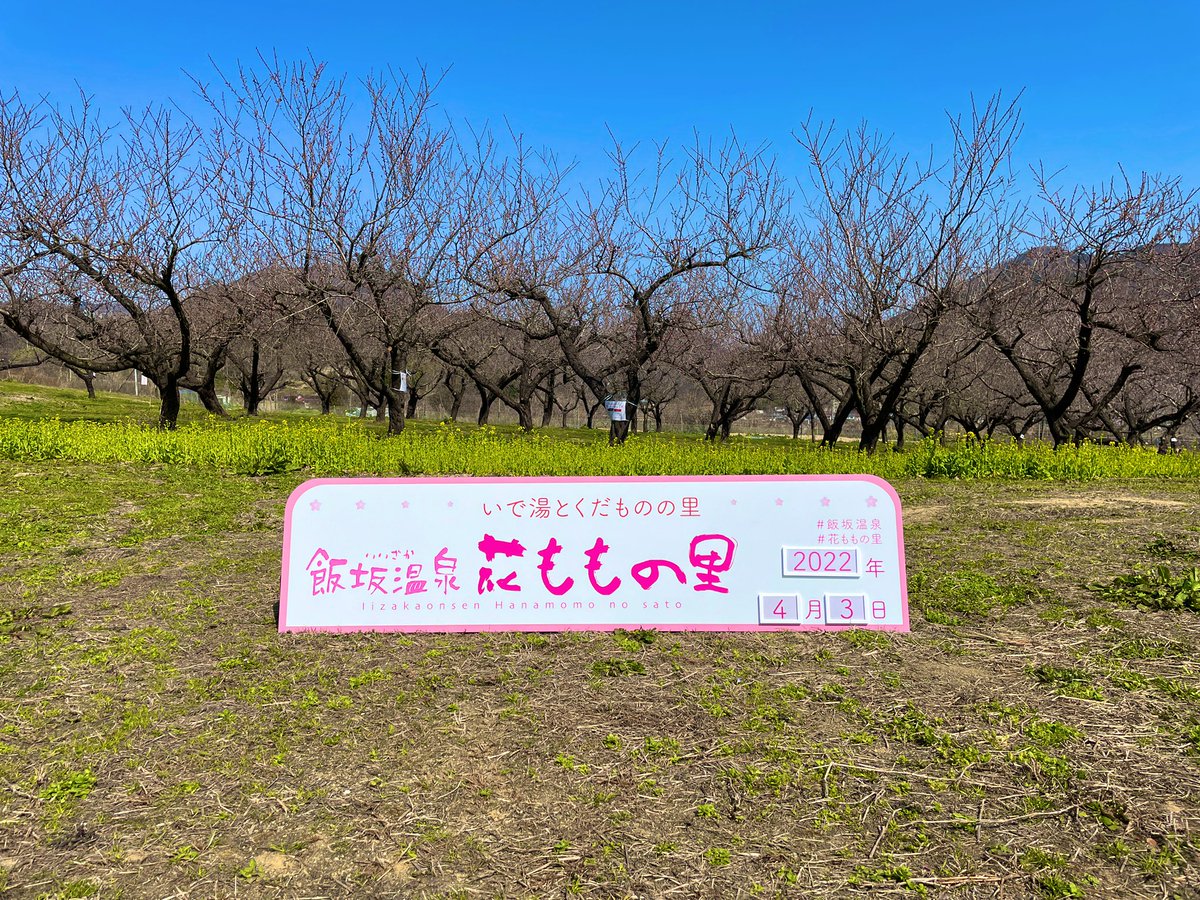 本日も飯坂・花ももの里で出店中です🌸
昨日よりも蕾が膨らみ、色づいてきました✨
お天気も最高ですので是非お出かけください🐰
ゆげおも土偶も待ってます🤣

#飯坂 #飯坂温泉 #花ももの里 #ゆげお #しゃがむ土偶 #ぴ〜ぐ〜